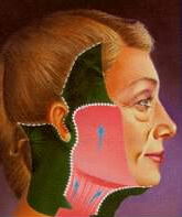 lifting_facial_3.jpg